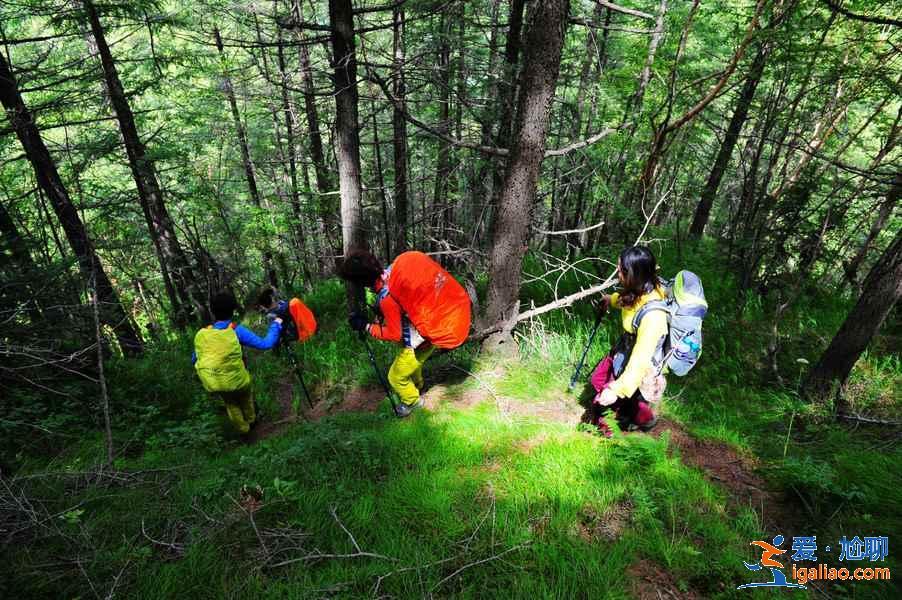 小五台山门票多少钱，张家口小五台山门票价格？