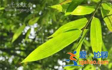 粽叶是什么叶子？？