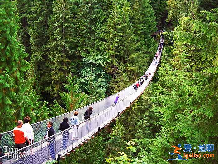 加拿大热门旅游景点，加拿大必打卡景点推荐，加拿大旅游攻略？