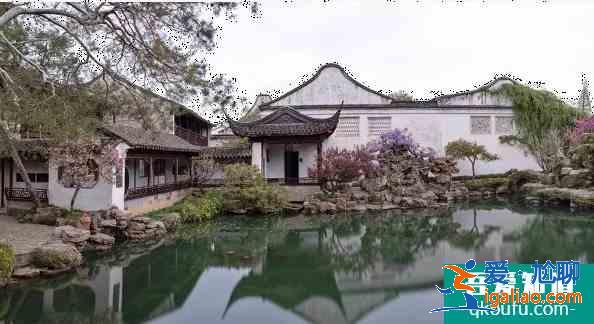 2021苏州紫藤花什么时候开花？
