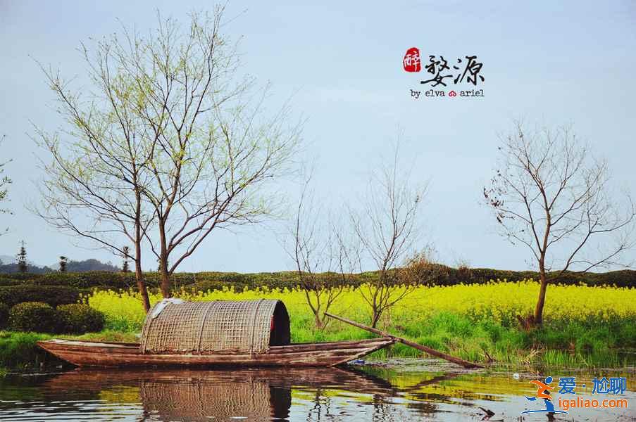 婺源月亮湾景区，婺源月亮湾要门票吗？