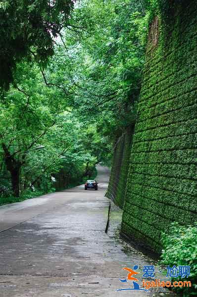 浙江大学哪个校区好看，浙江大学哪个校区风景好，浙江大学有几个校区？