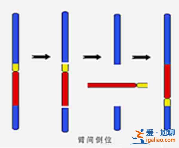 分享一下成都哪里需要代妈（流程透明）？