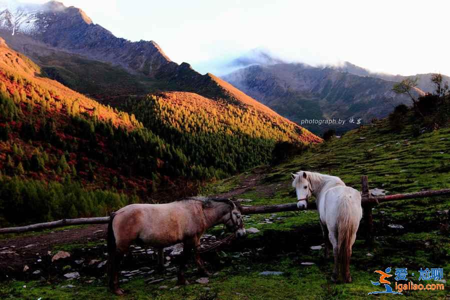 【四姑娘山最佳旅游时间】几月去四姑娘山最好，四姑娘山好玩吗？