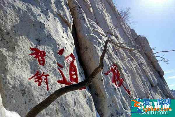 1月5日起嵩山景区宗教场所关闭,少林景区门票半价？