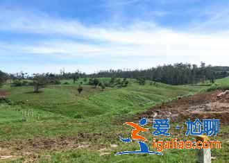 斯里兰卡的五大必体验，去斯里兰卡有哪些必玩项目？