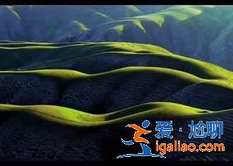 6月的新疆伊犁，无法描述的美？