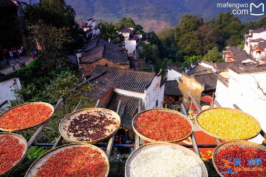 婺源值得去的景点，去婺源旅游必去的地方，婺源景点排名？