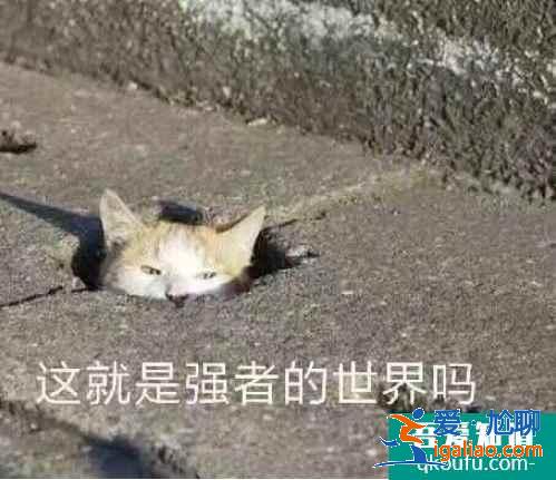 云顶之弈11.10版本最强丧尸法阵容推荐，云顶11.10强势阵容攻略？