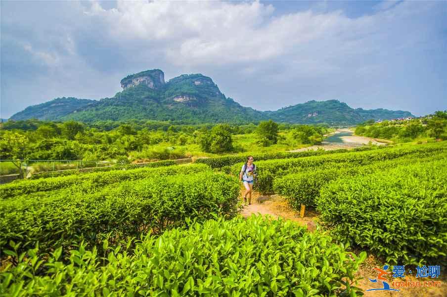 武夷山怎么玩,吃行游玩全攻略? 武夷山怎么玩,吃行游玩全攻略?
