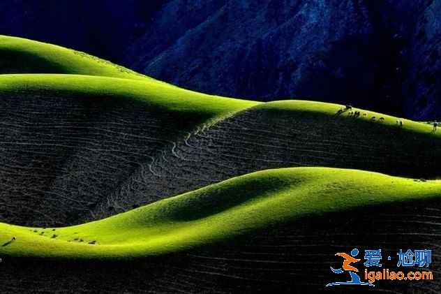 新疆11个神奇的美景，已经被惊艳到了？