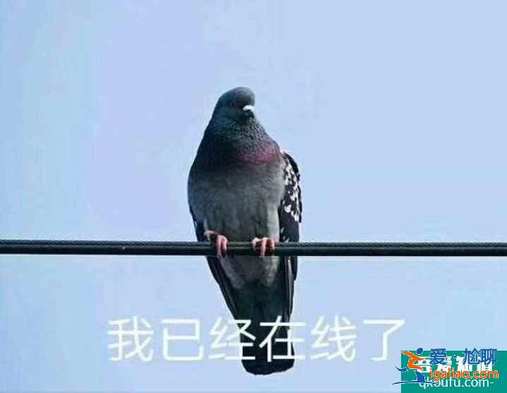 云顶之弈11.10版本最强阵容黑鸟天骑推荐，云顶11.10强势阵容攻略？
