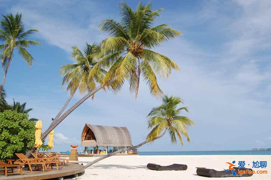 马尔代夫旅游花多少钱，马尔代夫双人游费用？