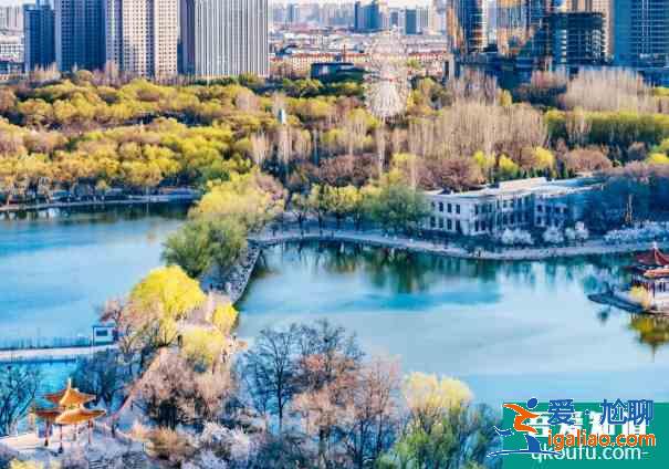 2021乌素图杏花开了吗 呼和浩特花季文化旅游活动详情？