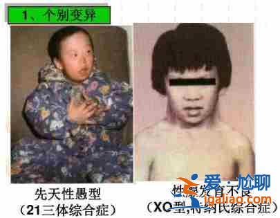 武汉助孕生儿子,还您一个完整而幸福的美满家庭？