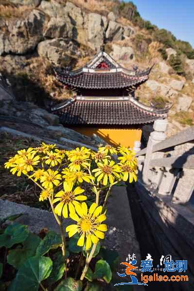 几月去普陀山最好，普陀山最佳旅游时间？