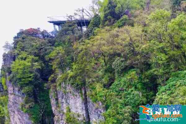 汉中龙头山景区门票多少钱?怎么走?？