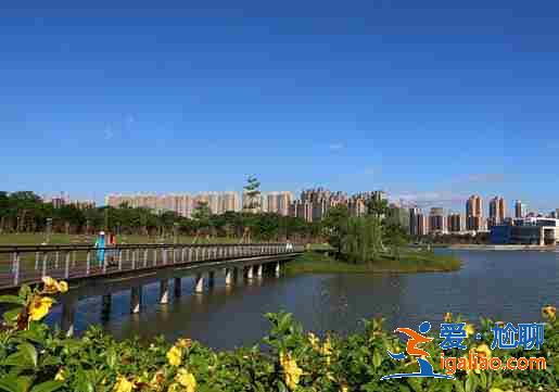 可靠的代妈，爱心助孕流程示意图？