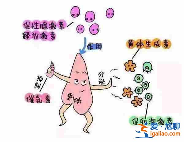 了解一下郑州50万找私人代妈「全方位一站式助孕平台 」？