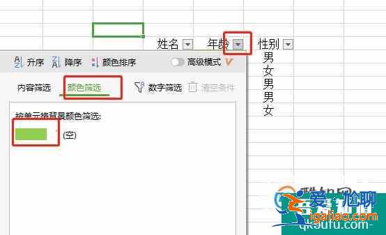 如何在excel中快速的进行筛选？