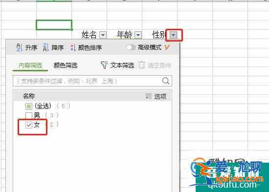如何在excel中快速的进行筛选？