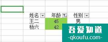 如何在excel中快速的进行筛选？
