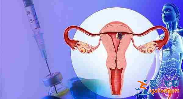 分享上海代怀孩子宝宝_欢迎合作? 分享上海代怀孩子宝宝_欢迎合作?