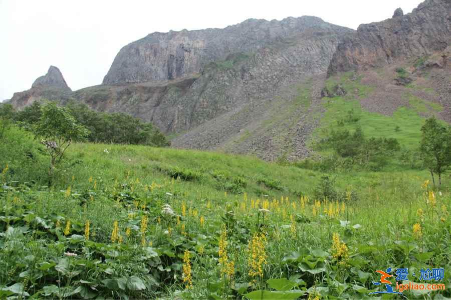 长白山夏天好玩吗，长白山夏天美吗，夏季去长白山玩什么？