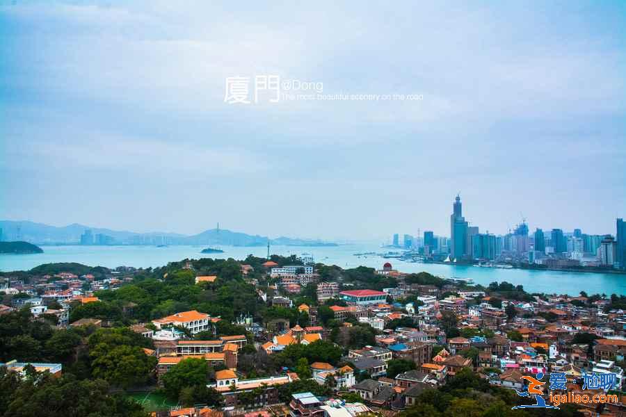 绝对实用的鼓浪屿游玩小贴士，良心整理？