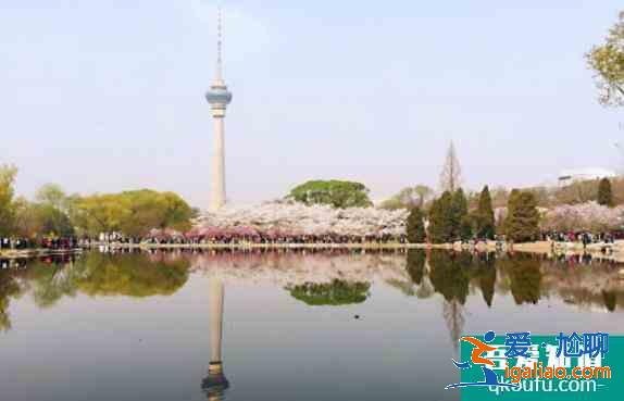 2021年5月玉渊潭公园旅游攻略？