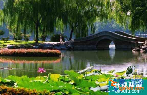 2021年5月玉渊潭公园旅游攻略？