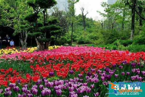 2021年4月16日汉中植物园开园试运营？