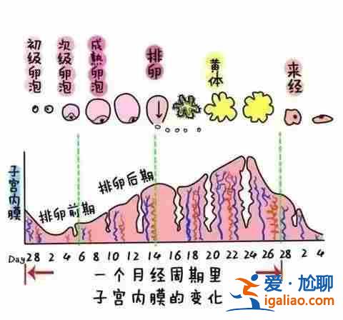 解读包生男孩交流群[ 爱心助孕 ]？