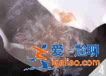 金色白米虾怎么做？？