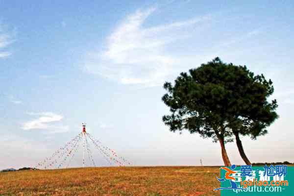 2021武汉木兰草原运动风筝锦标赛开幕时间？