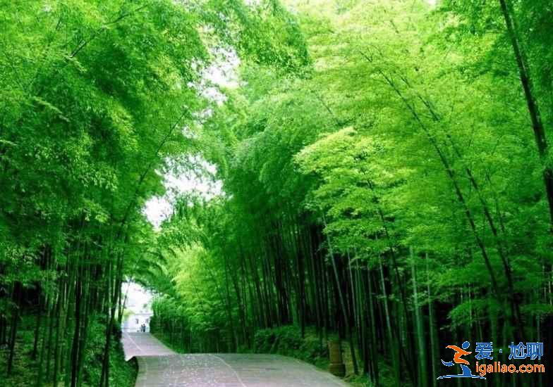 【6月四川旅游】6月去四川哪里旅游最好？