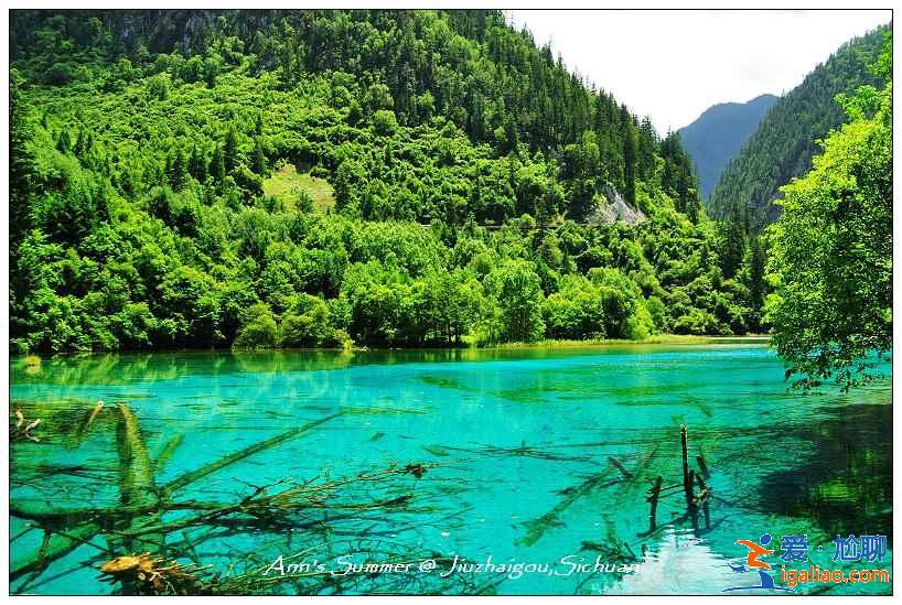 高血压能去九寨沟吗，有高血压去九寨沟需要注意什么？