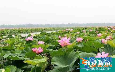 2021岳阳旅游攻略必去景点推荐？