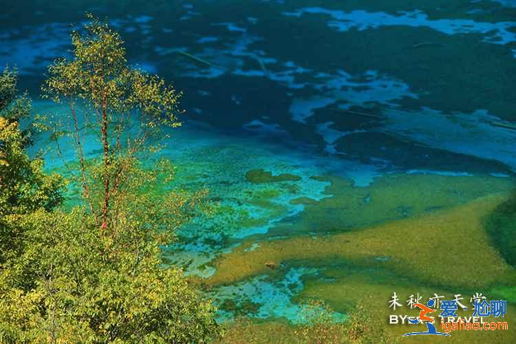 夏天去九寨沟注意事项，夏天去九寨沟安全吗？