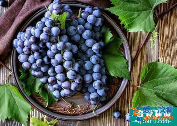 高考期间饮食营养吃什么补脑呢?? 高考期间饮食营养吃什么补脑呢??