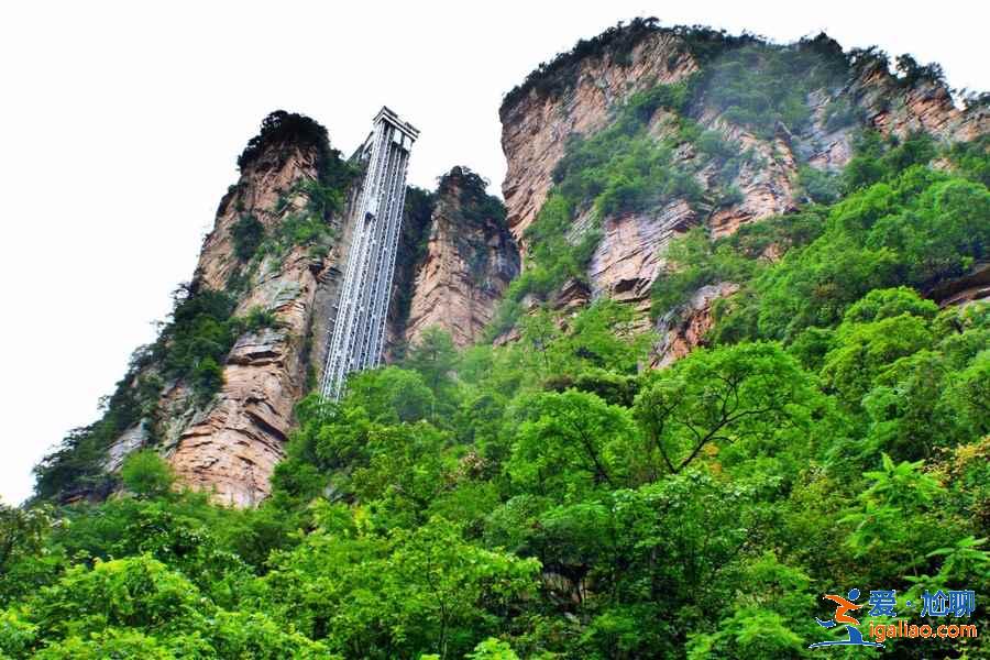 张家界百龙天梯门票价格，百龙天梯门票攻略，百龙天梯门票怎么买？