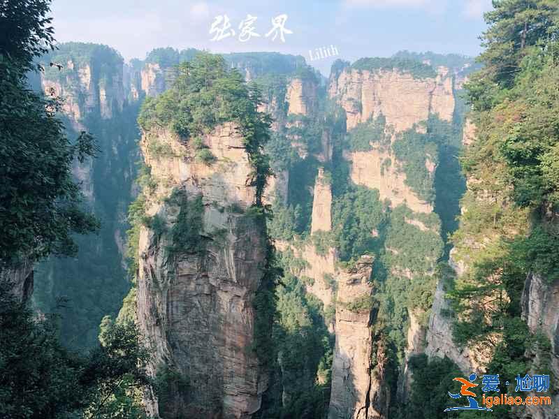 张家界百龙天梯门票价格，百龙天梯门票攻略，百龙天梯门票怎么买？