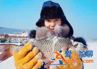 哈尔滨夏季3日玩法,冰城的夏天同样精彩!? 哈尔滨夏季3日玩法,冰城的夏天同样精彩!?