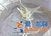 粉丝炒梭蟹怎么做？？