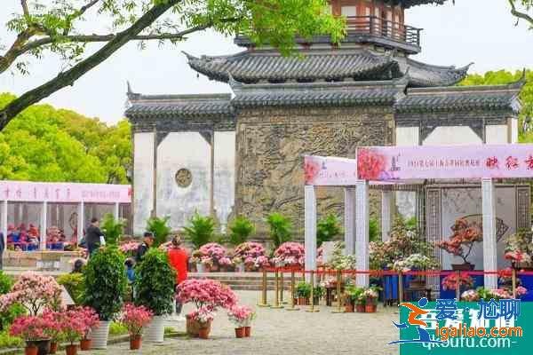 2021上海方塔园杜鹃花展时间？