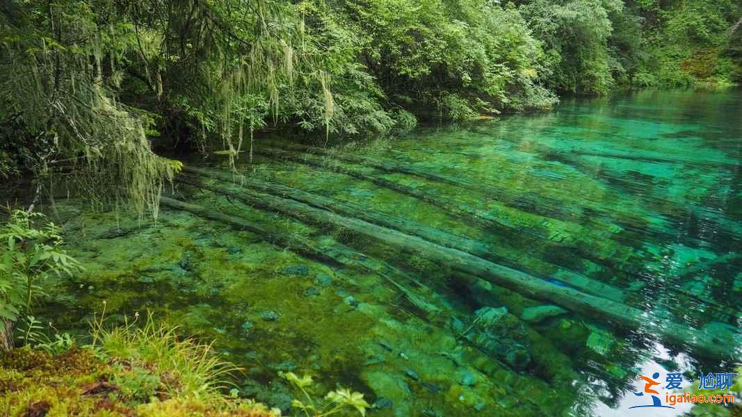 四川最美的沟，避暑就来这吧？