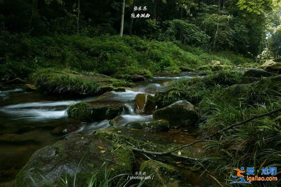 张家界适合闺蜜玩的景点，闺蜜去张家界怎么玩，张家界闺蜜游玩好去处？