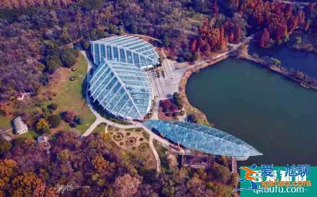 世界地球日南京中山植物园免费开放及预约指南 2021南京中山植物园免费开放时间？