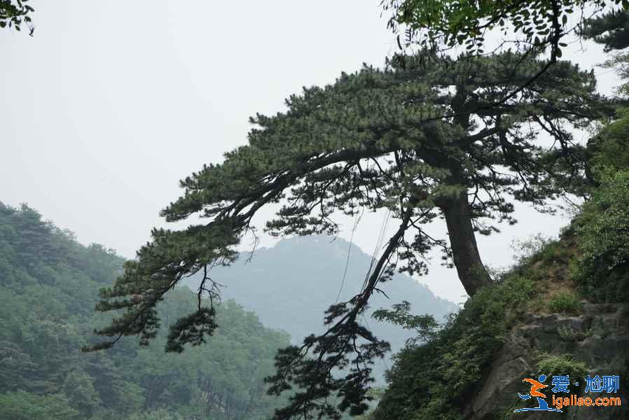 不要错过以下几处，才不枉登泰山！？