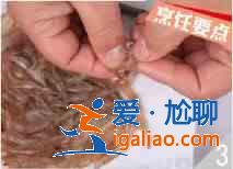 白米虾炒豆腐怎么做？？